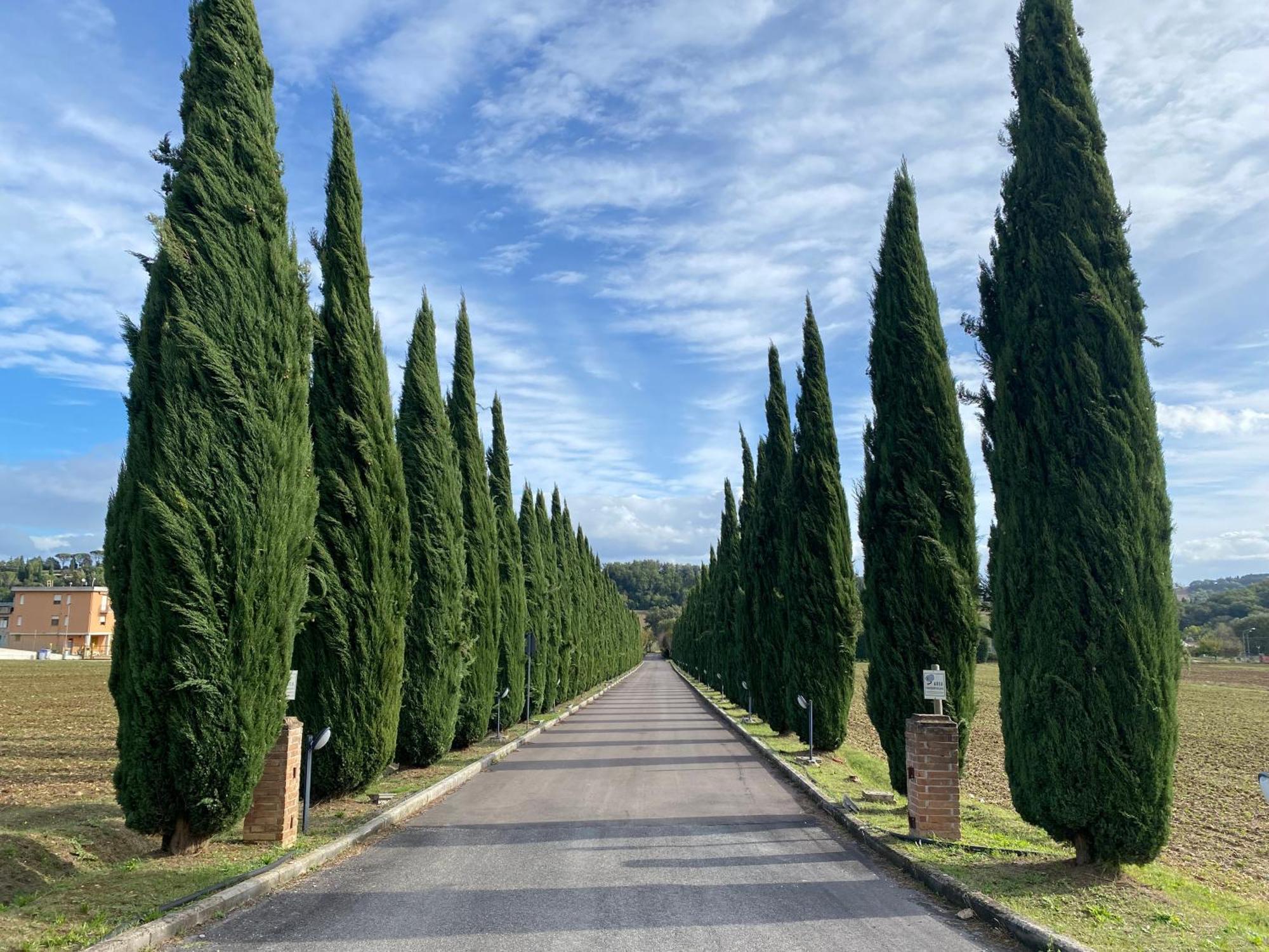 La Locanda Dei Golosi Bosco  Exteriér fotografie